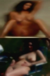 Swingers Dowagiac