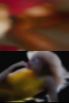 Adult sex clubs