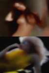 Hot naughty sexy cheating wives
