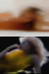 Naked horny women