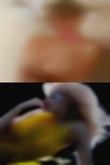 Slutty housewives looking cock