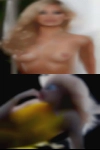 Tacoma swinger can hypnosis