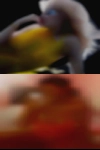 Horny woman clubs Point