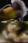 Sluts Louisa