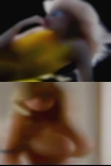 Swinger filled vaginas